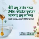 খাঁটি মধু চেনার সহজ উপায়: কীভাবে বুঝবেন আপনার মধু আসল?